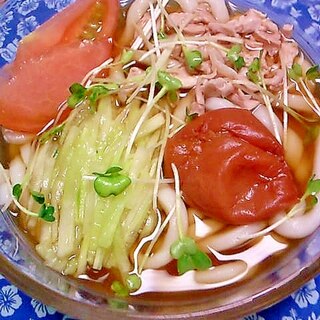 めんつゆわさびの汁で 冷やしうめ鶏野菜うどん